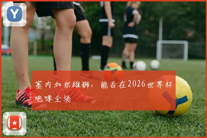 塞内加尔雄狮，能否在2026世界杯咆哮全场