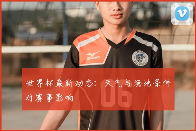 世界杯最新动态：天气与场地条件对赛事影响