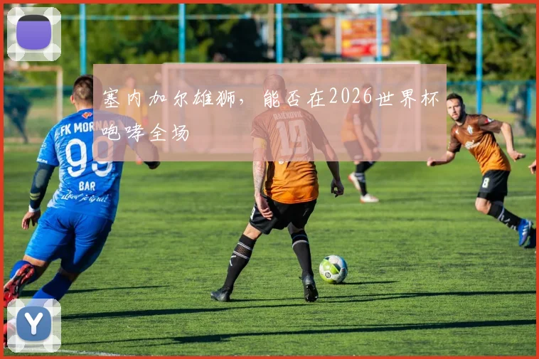 塞内加尔雄狮,能否在2026世界杯咆哮全场