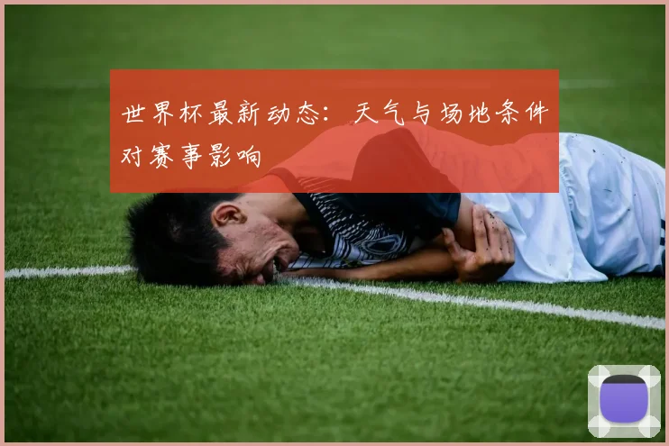 世界杯最新动态：天气与场地条件对赛事影响